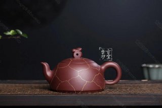 《龜兔賽跑》 《龜兔賽跑》