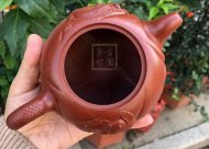 《魚(yú)化龍?zhí)捉M》