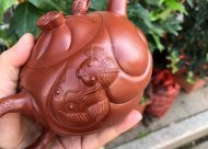 《魚(yú)化龍?zhí)捉M》