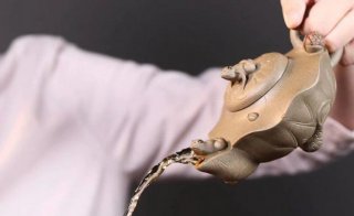 《荷葉青蛙》 《荷葉青蛙》