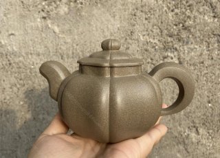 筋紋汲風(fēng) 筋紋汲風(fēng)