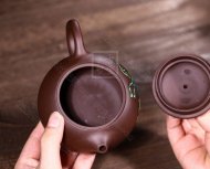 《西施多子多?！? title=