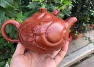 《魚(yú)化龍?zhí)捉M》