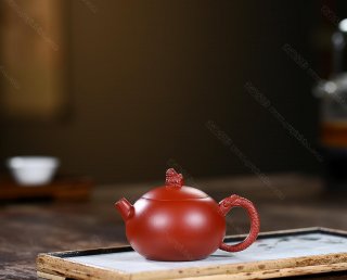 龍珠西施 龍珠西施