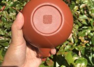 樹樁葡萄壺；朱泥380CC