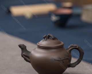 松報(bào)春 松報(bào)春