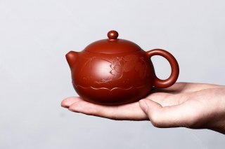 荷風(fēng)西施 荷風(fēng)西施