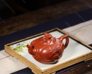 混方魚(yú)化龍