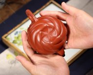 混方魚(yú)化龍