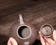 《石瓢縱橫四海》