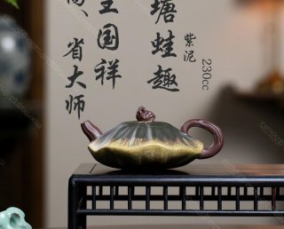 荷塘蛙趣 荷塘蛙趣