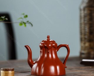 玉錦菱花 玉錦菱花