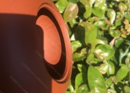 樹樁葡萄壺；朱泥380CC